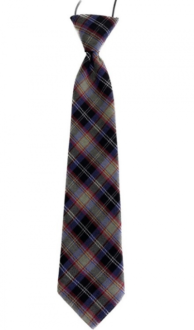 Школьный галстук для мальчика "Шотландка" бордо
